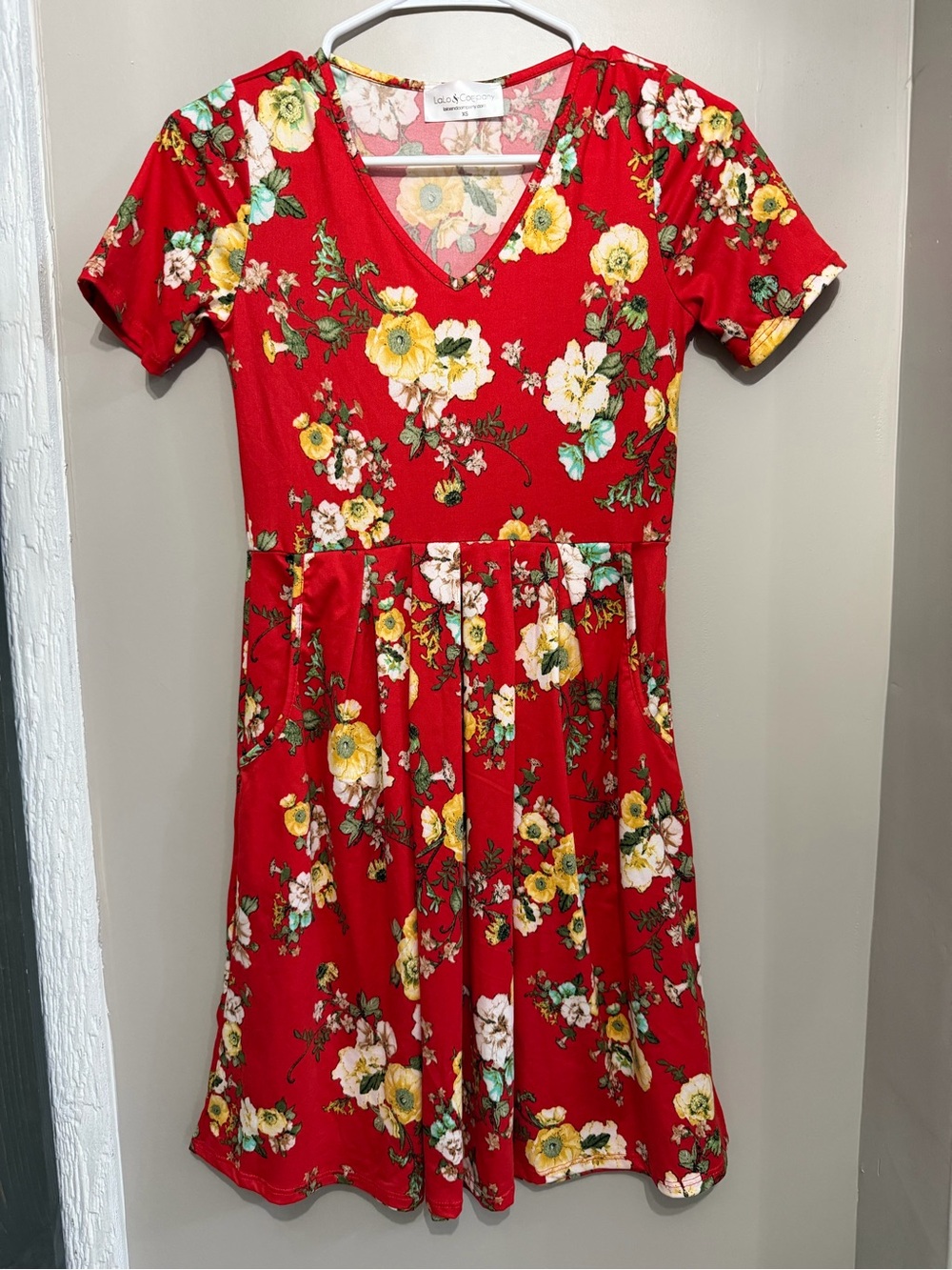 Floral V-Neck Red Mini Dress